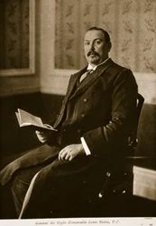 Louis Botha, 1914-19